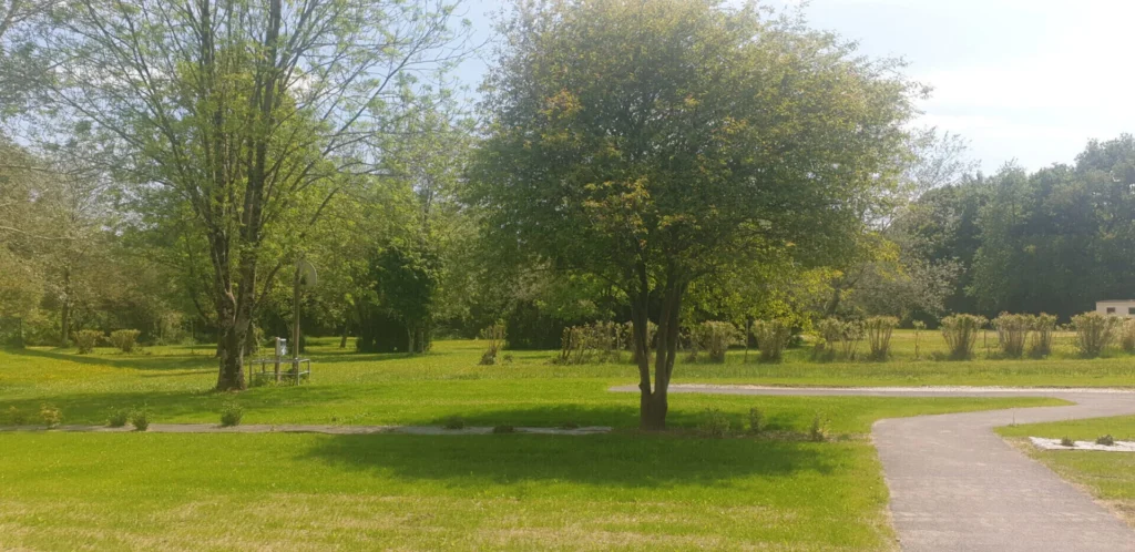 Camping - Saint-Nicolas-du-Pélèm - 04