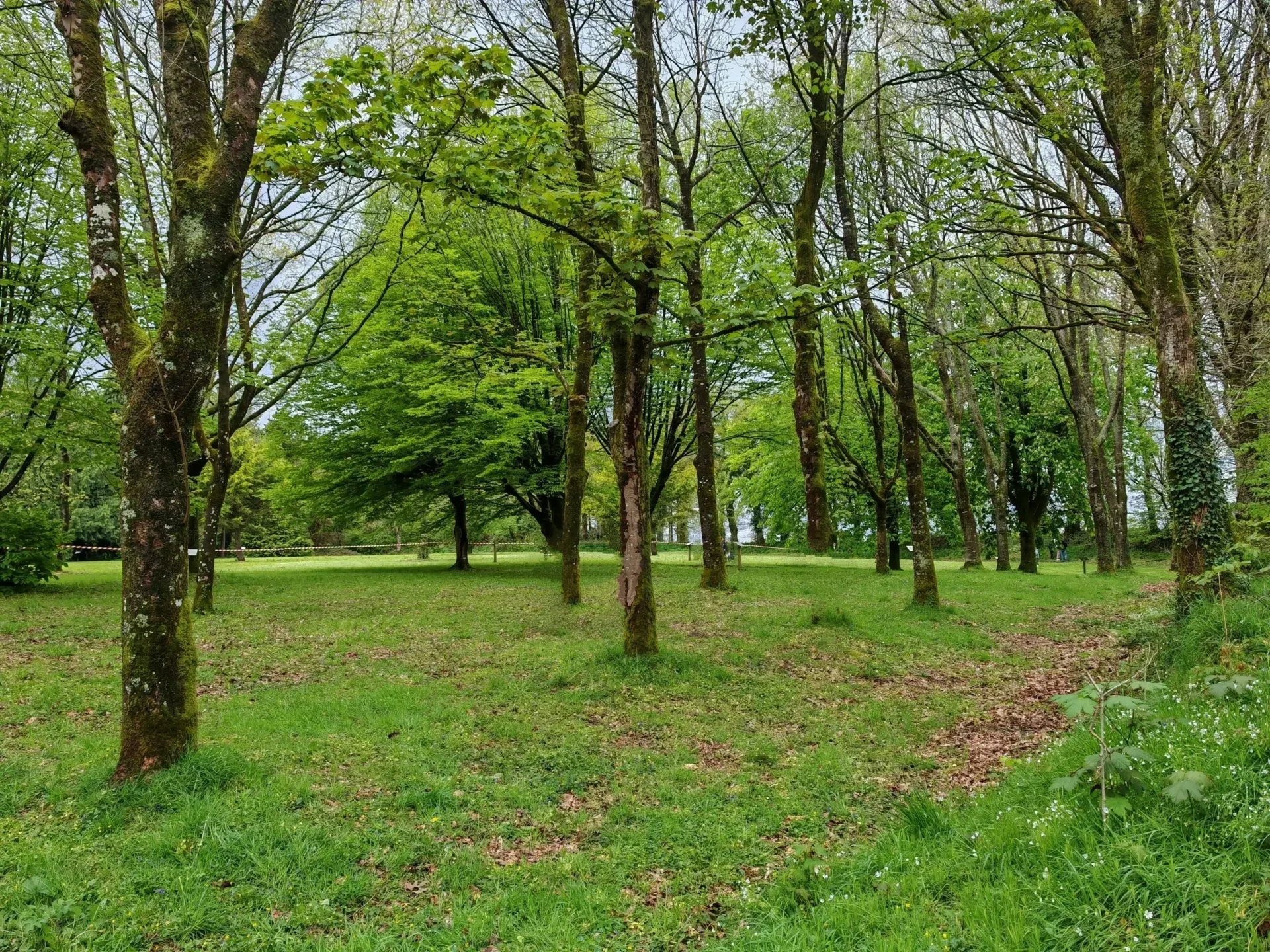 patrimoine 01 arboretum st nicolas du pelem